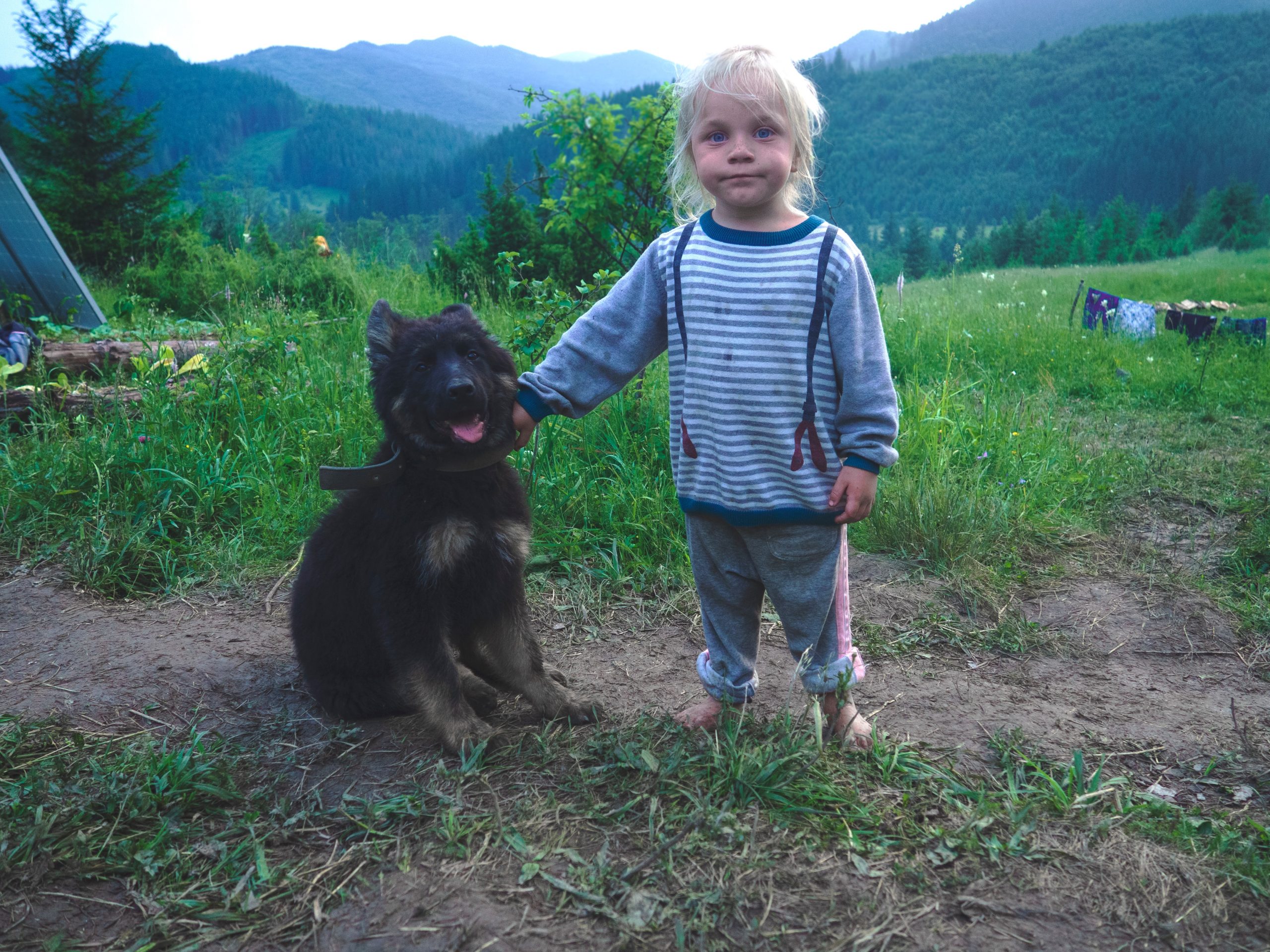 Living in Harmony: 5 Ways to Keep Kids and Senior Dogs Safe